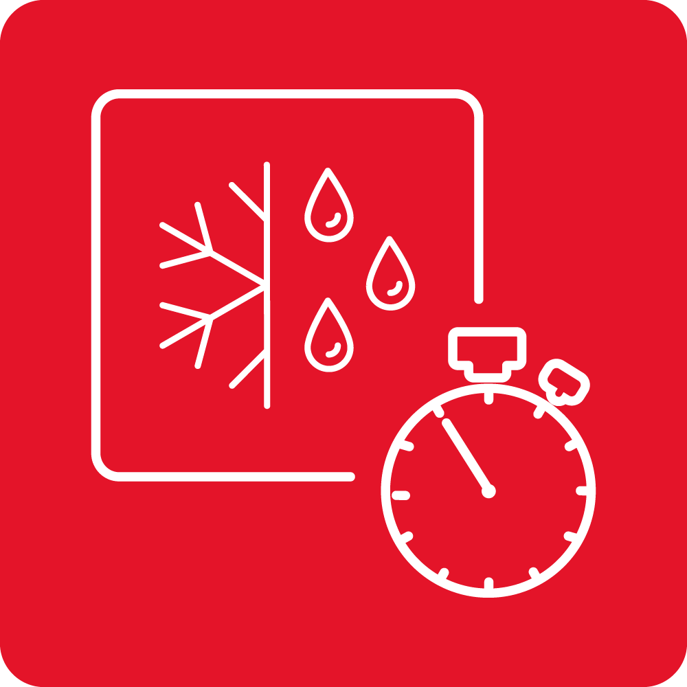 Rozmrażanie czasowe