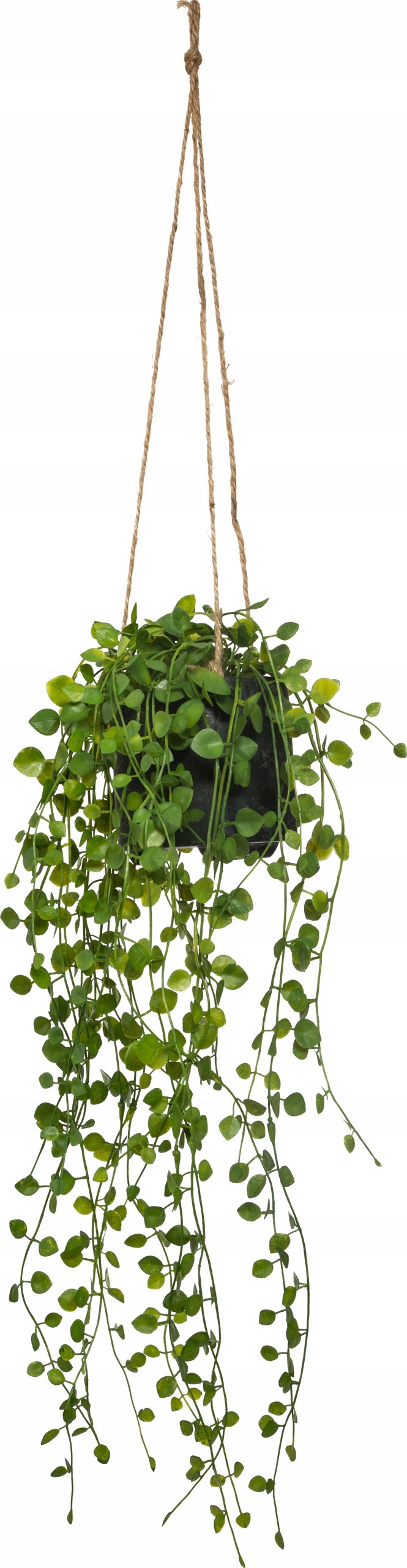 Atmosphera Sztuczna roślina wisząca Peperomia – Naturalny akcent w Twoim wnętrzu