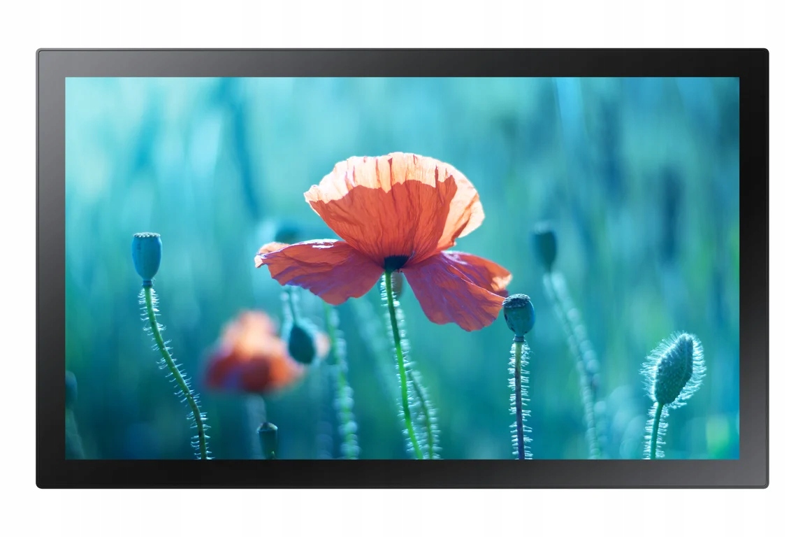 Samsung QB13R-T – Interaktywny płaski panel 33 cm (13