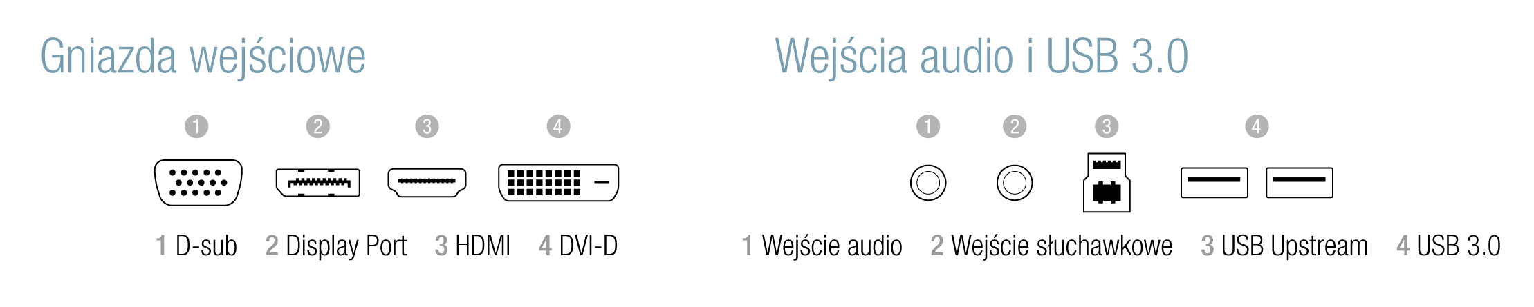 Grafika EIZO-03