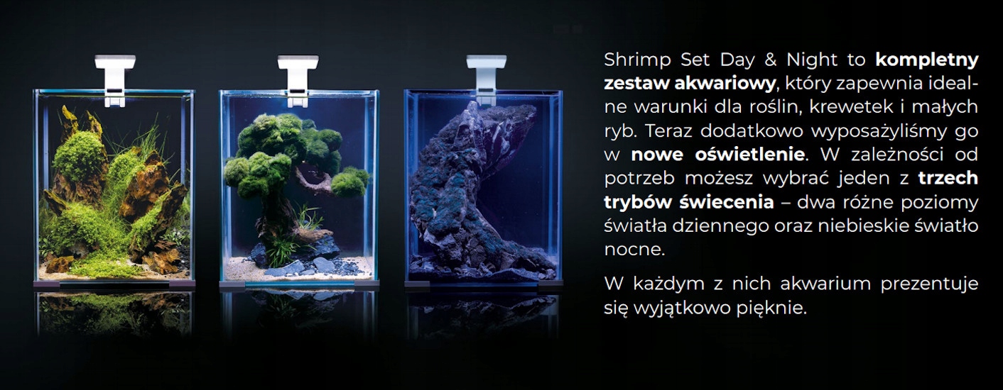 Trzy tryby świecenia: DAY, DAYBREAK i NIGHT