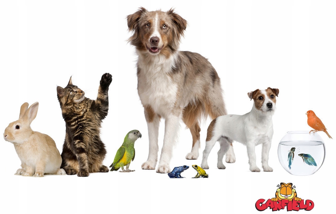 Naturalny i przyjazny dla środowiska