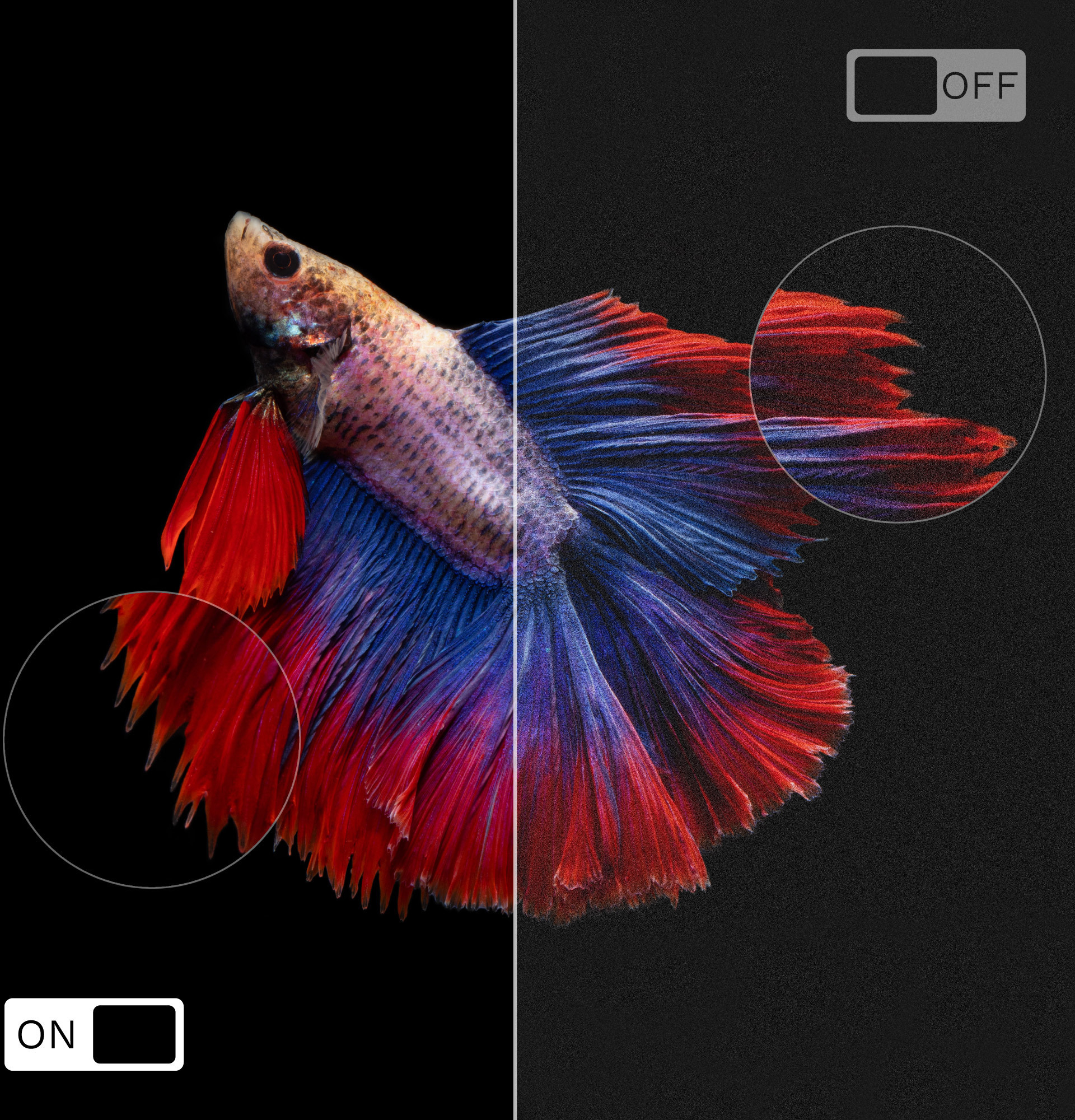 Aplikacja VIDAA Smart Remote – Kontrola telewizora z poziomu smartfona