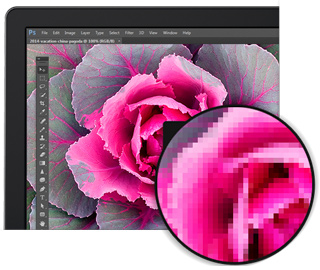 27-calowy monitor Dell P2715Q o rozdzielczości Ultra HD 4K — niezrównana ostrość