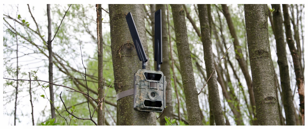 Kamera Leśna FOTOPUŁAPKA GPS 4.0CG MMS FILM LTE 4G – rozwiązanie do monitorowania