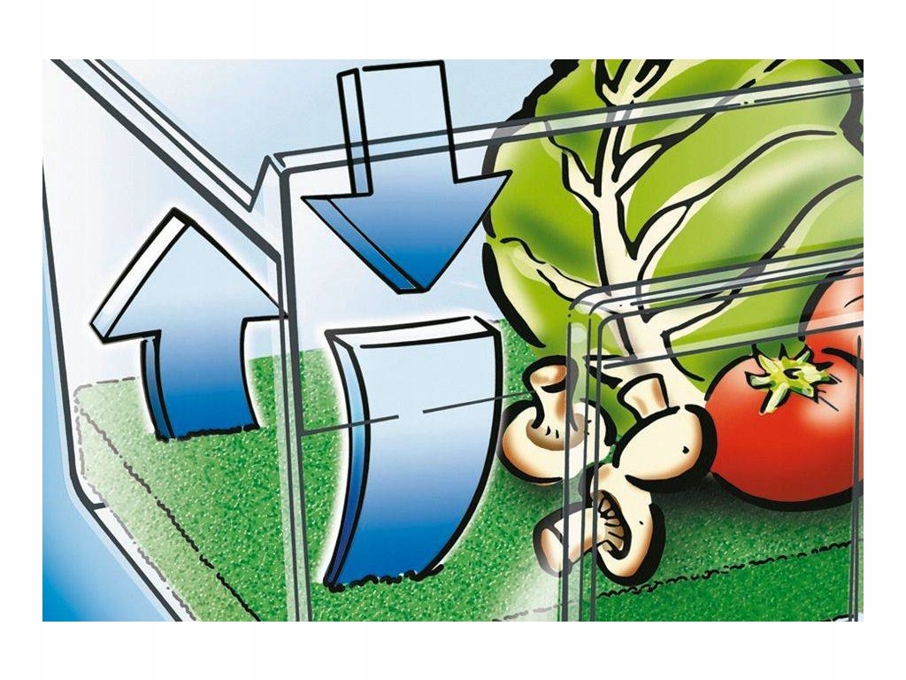 Zachowanie świeżości warzyw i owoców – Dłuższa trwałość produktów