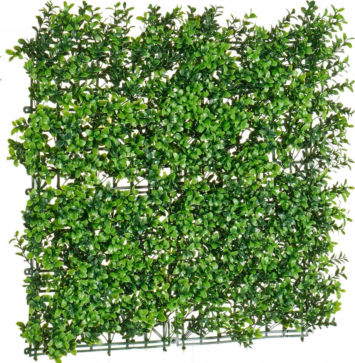 Ibergarden Sztuczny żywopłot, 50 x 50 cm – Idealna dekoracja do Twojego ogrodu