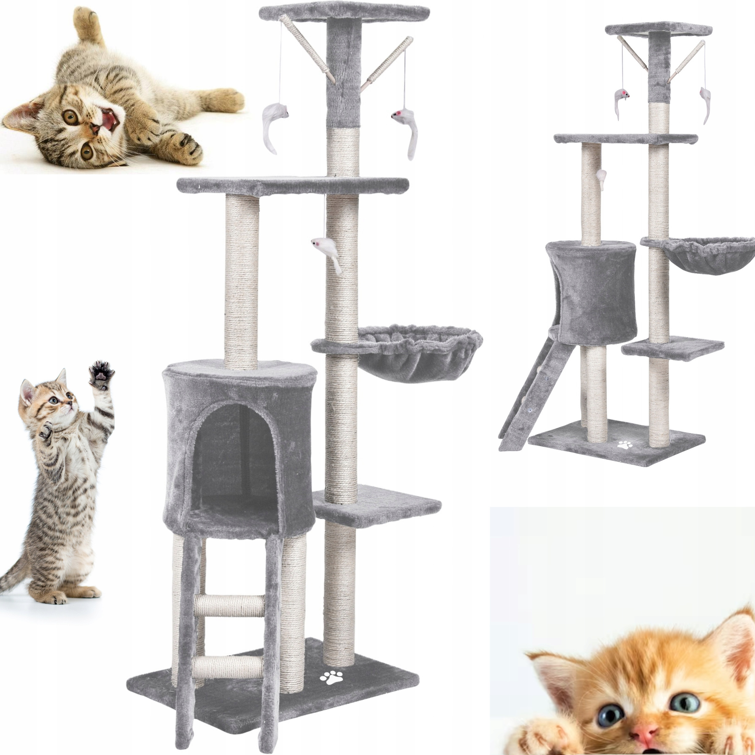 Komfortowe legowisko i bezpieczny domek dla kota