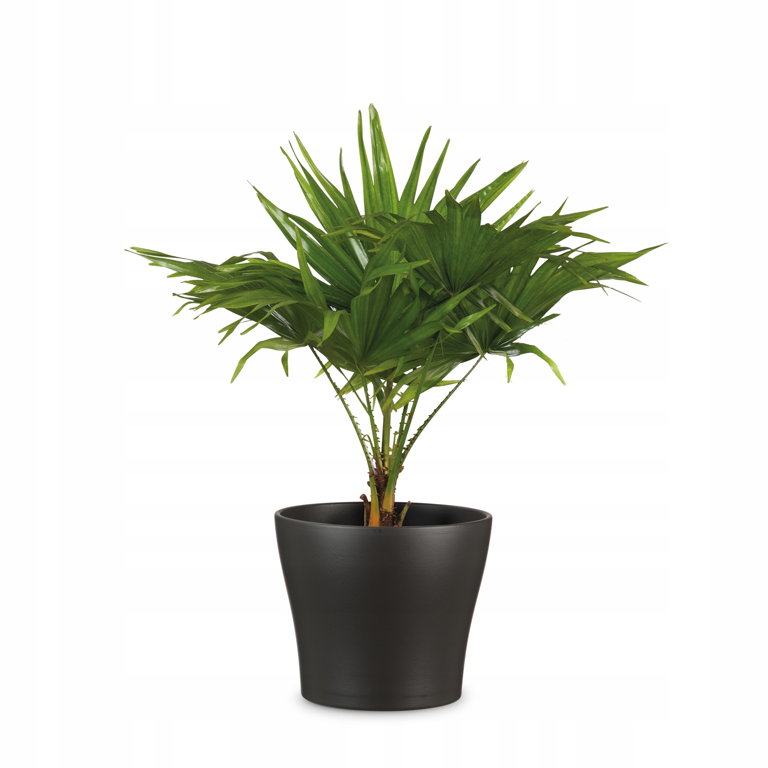 Donica FLOWER POT 808/27 ANTHRAZIT D27 – Nowoczesny element dekoracyjny do Twojego wnętrza
