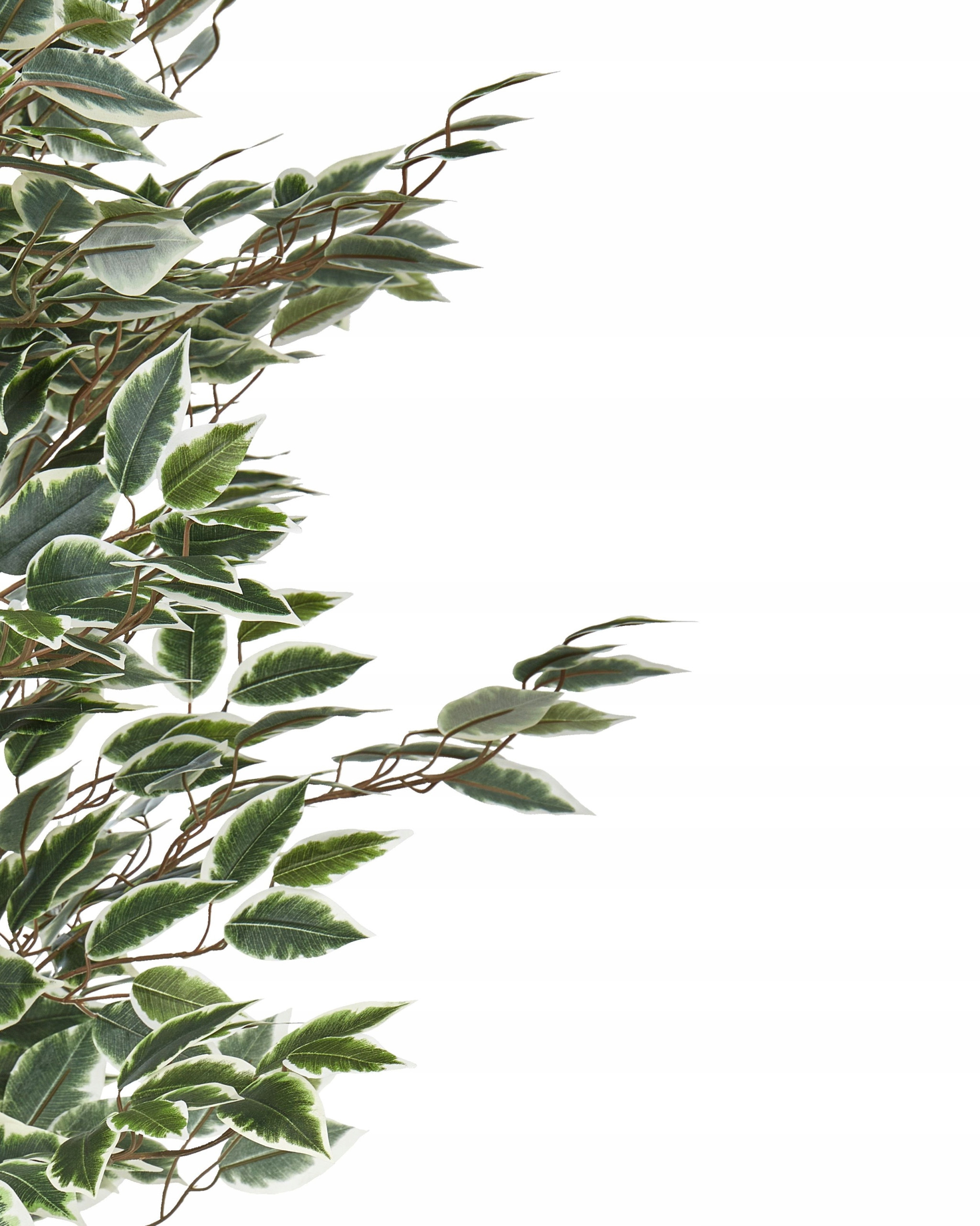 Elegancki wygląd i łatwość w pielęgnacji