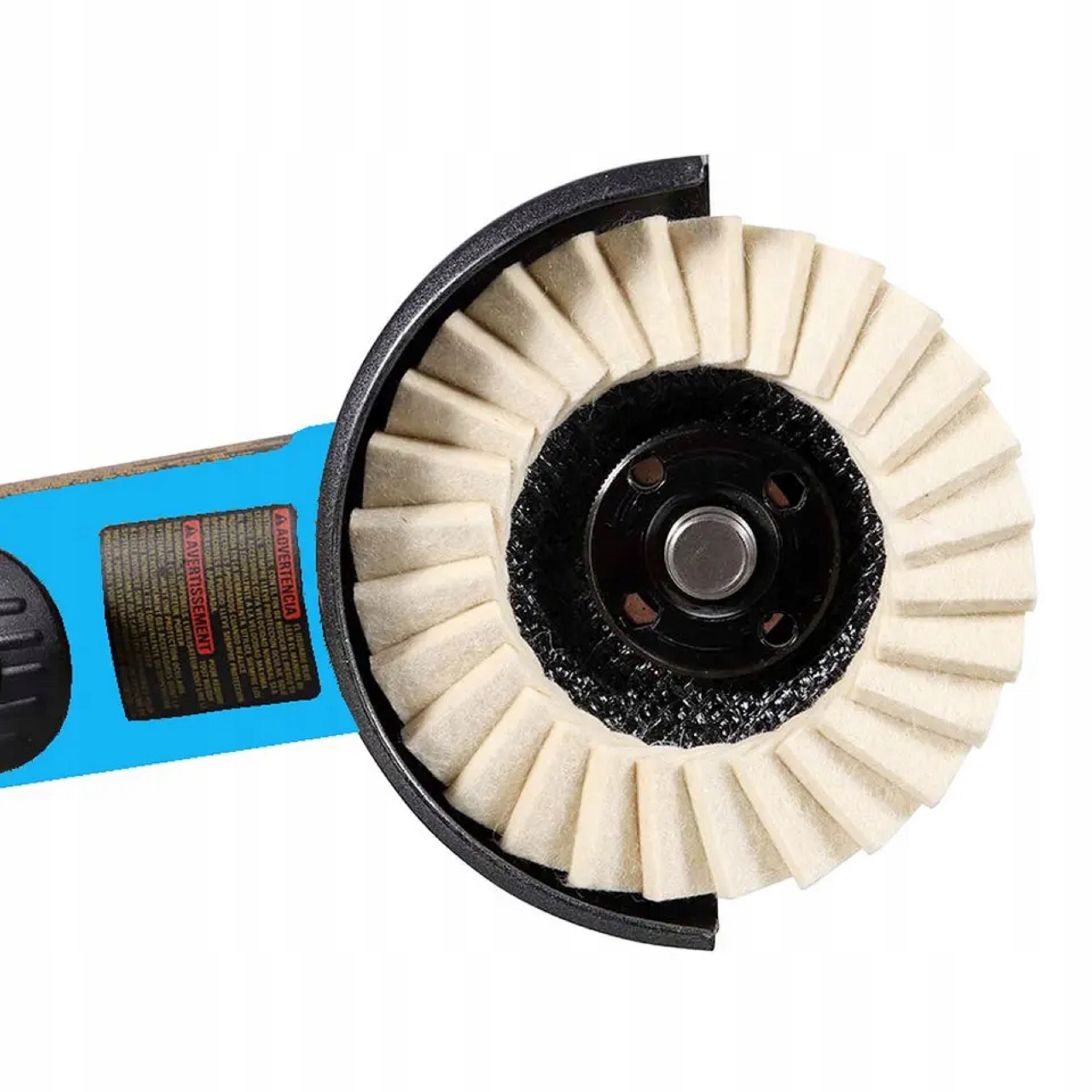 Przeznaczenie i zastosowanie w ogrodzie