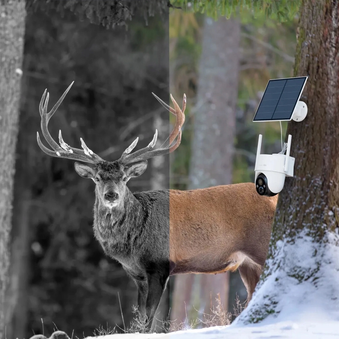 Wodoodporna konstrukcja dla zewnętrznych warunków