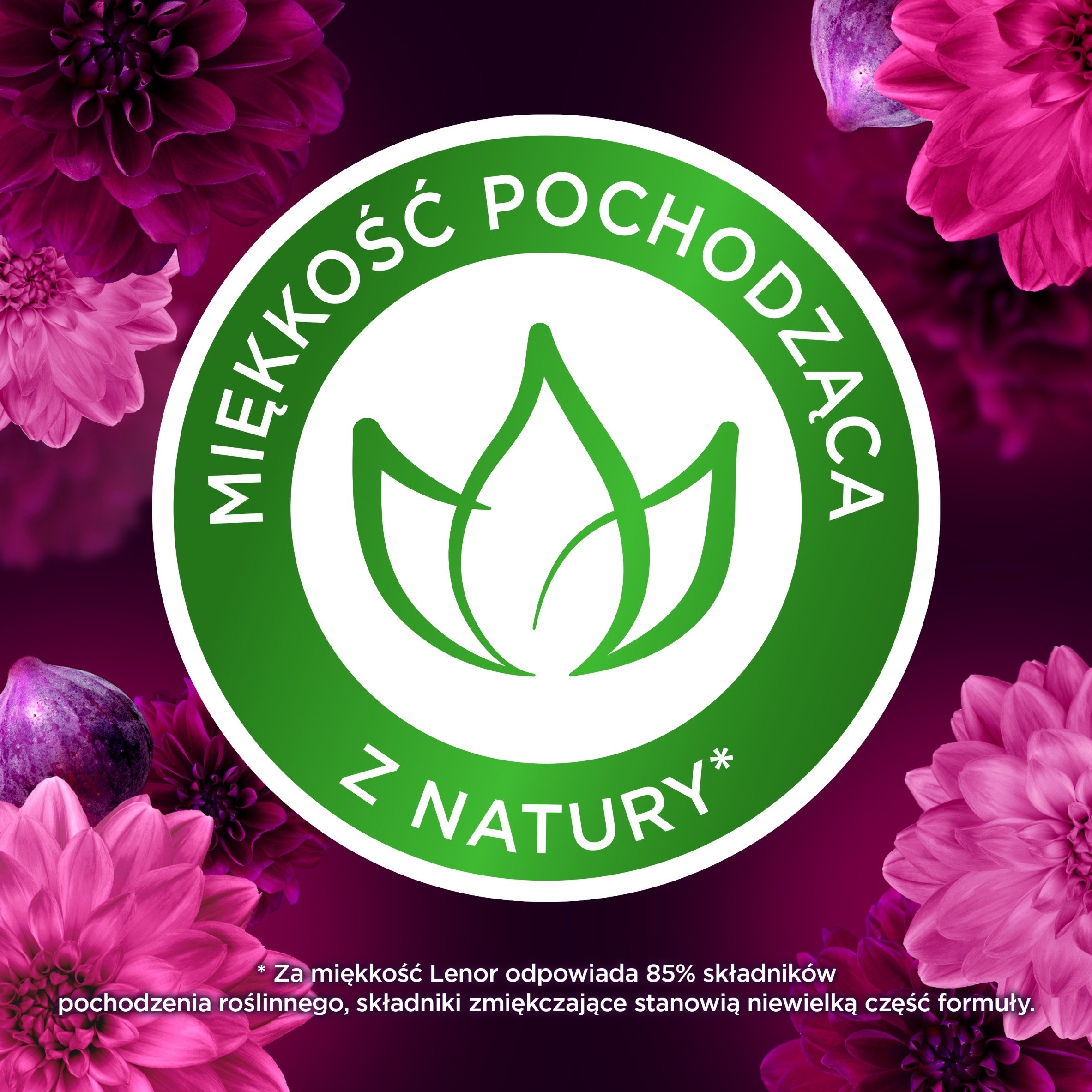 Miękkość pochodzenia roślinnego