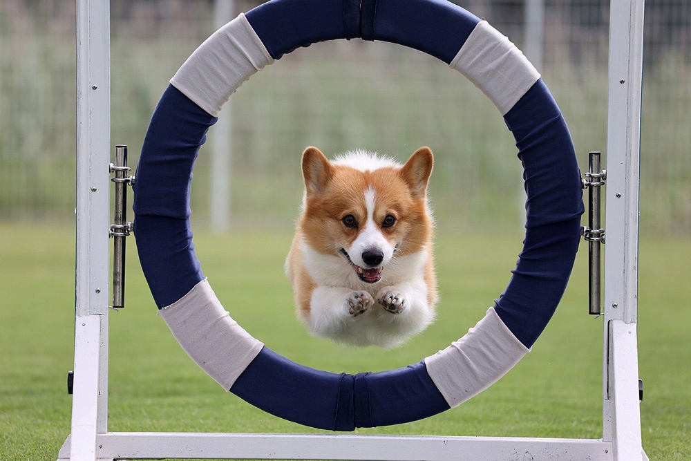 Szybkie i ciche ustawianie ostrości z silnikiem Nano USM