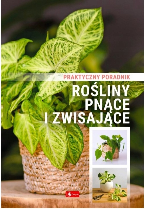 Łatwe w uprawie rośliny jednoroczne, dwuletnie i wieloletnie