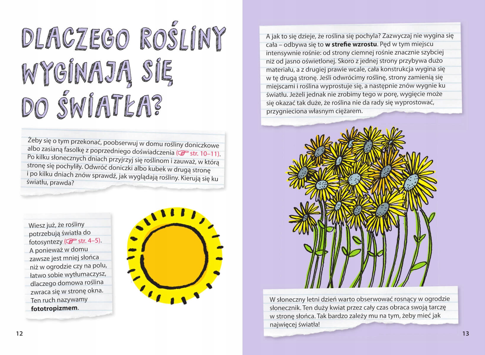 Wydanie i format – Twarda okładka i 80 stron wiedzy