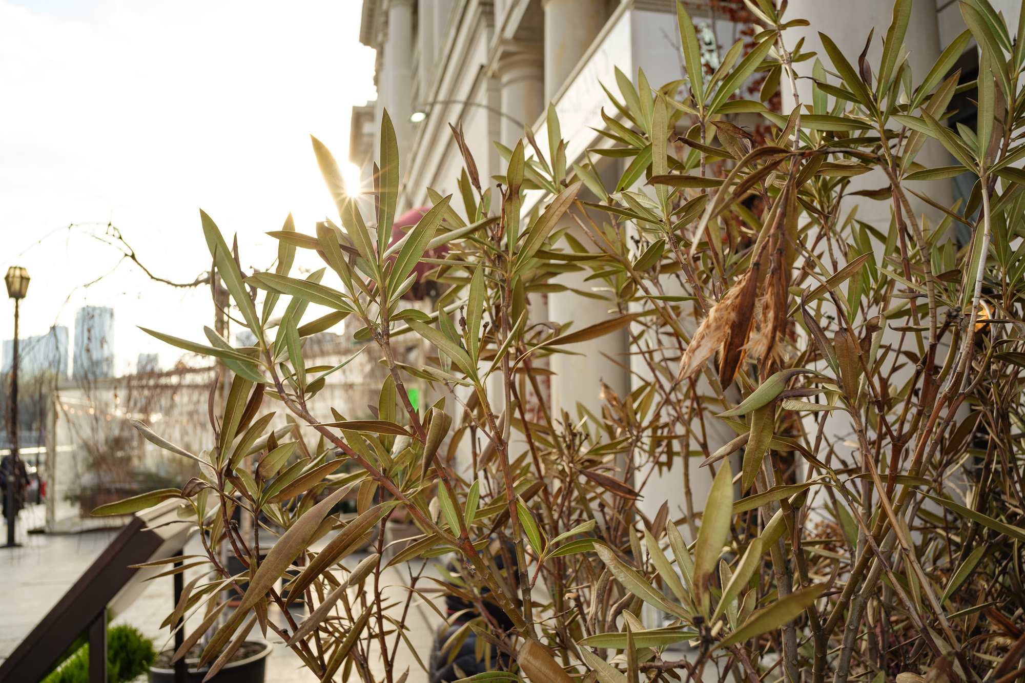 Obiektyw Voigtlander Nokton II Vintage Line 28 mm f/1,5 do Leica M - czarny