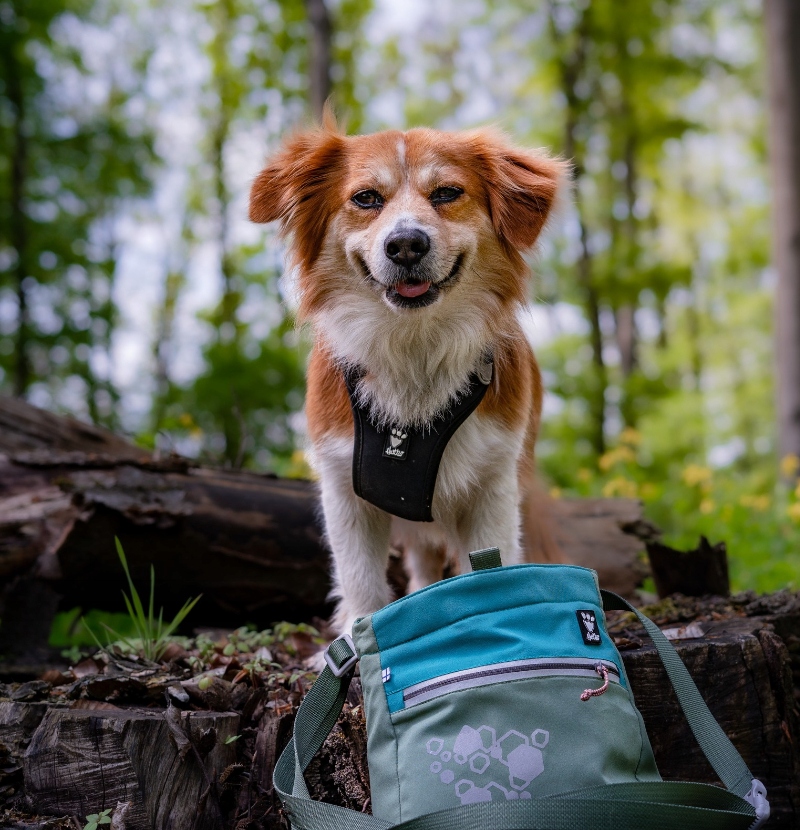 Ekologiczne materiały z recyklingu