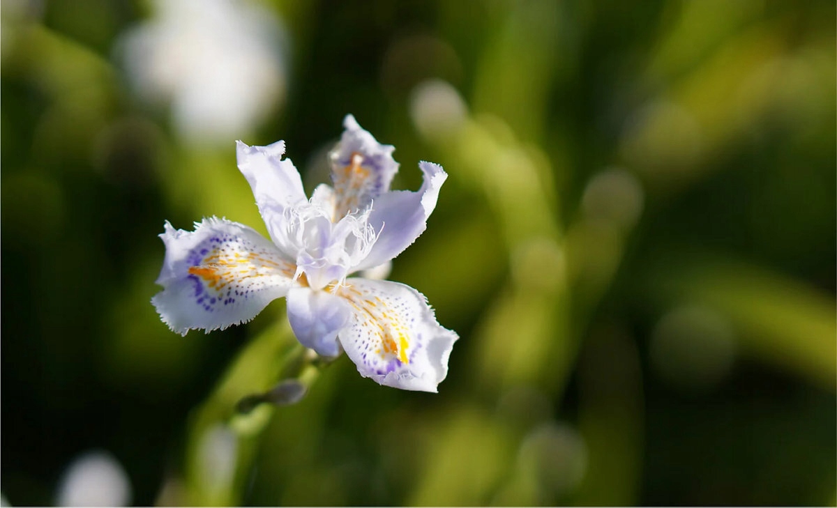 Intuicyjny ekran dotykowy o przekątnej 2.95