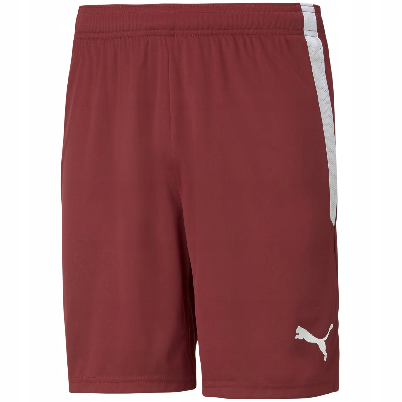 Spodenki Męskie Puma teamLIGA 704924 09 S – Idealne do treningów i aktywności sportowych