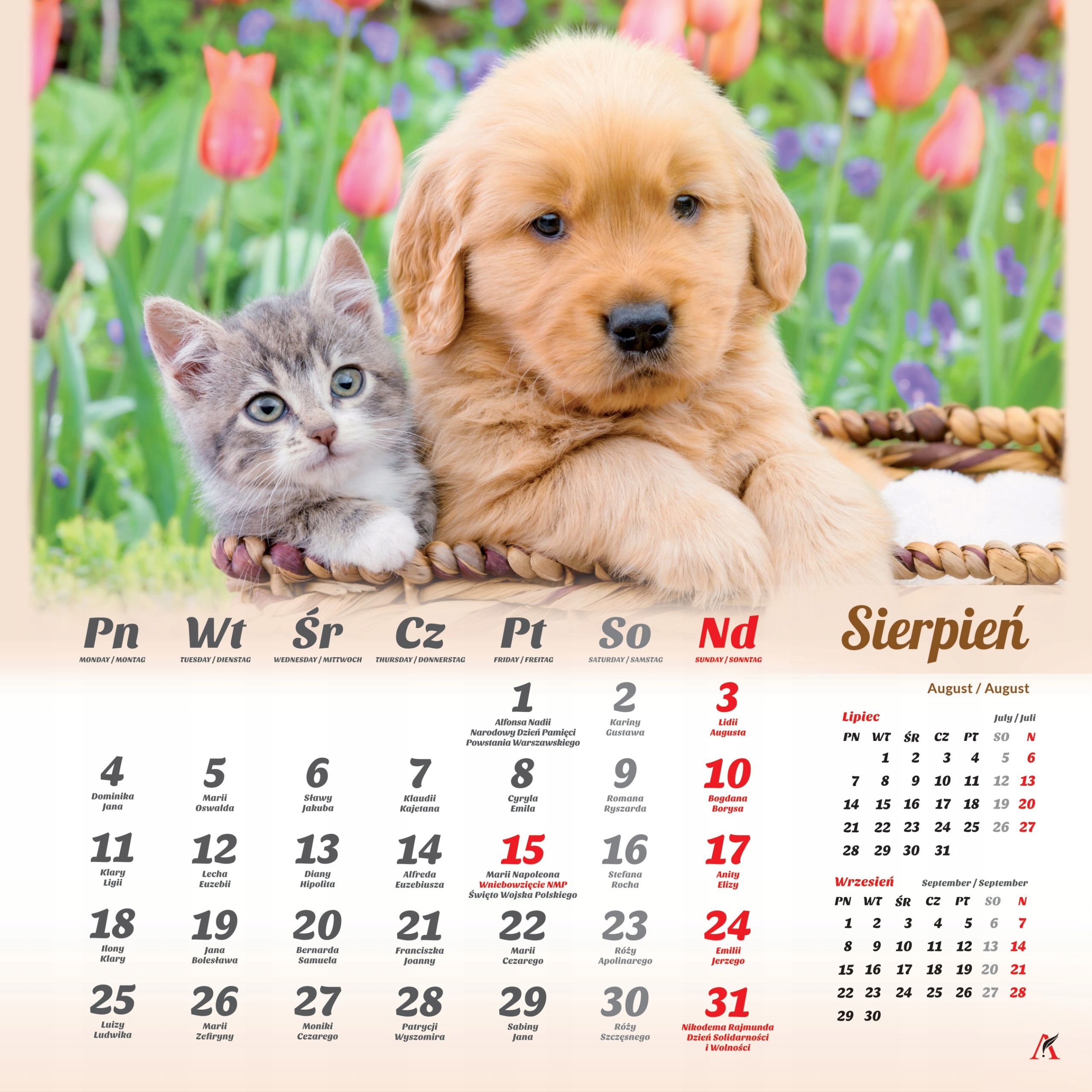 Kalendarz wieloplanszowy Przyjaciele 2025 – Idealny do biura i domu