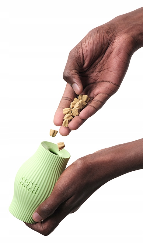 Kluczowe cechy zabawki Treat