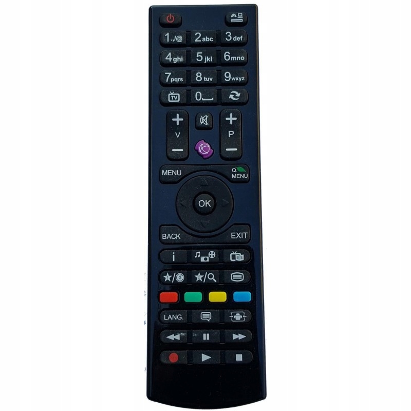 Pilot RTV Hyundai PILOT VESTEL RC4862 TFK 255AA DUAL DL49F278P3C – Wysokiej jakości zdalne sterowanie