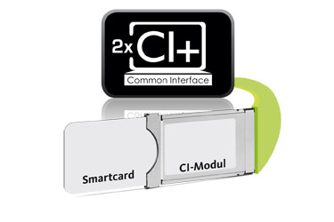 2 x gniazda Common Interface (CI+)