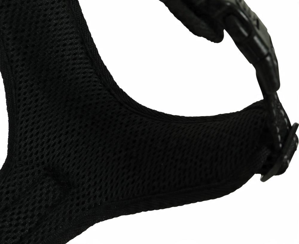 Stylowy design – Wybór rozmiarów dla psów średnich