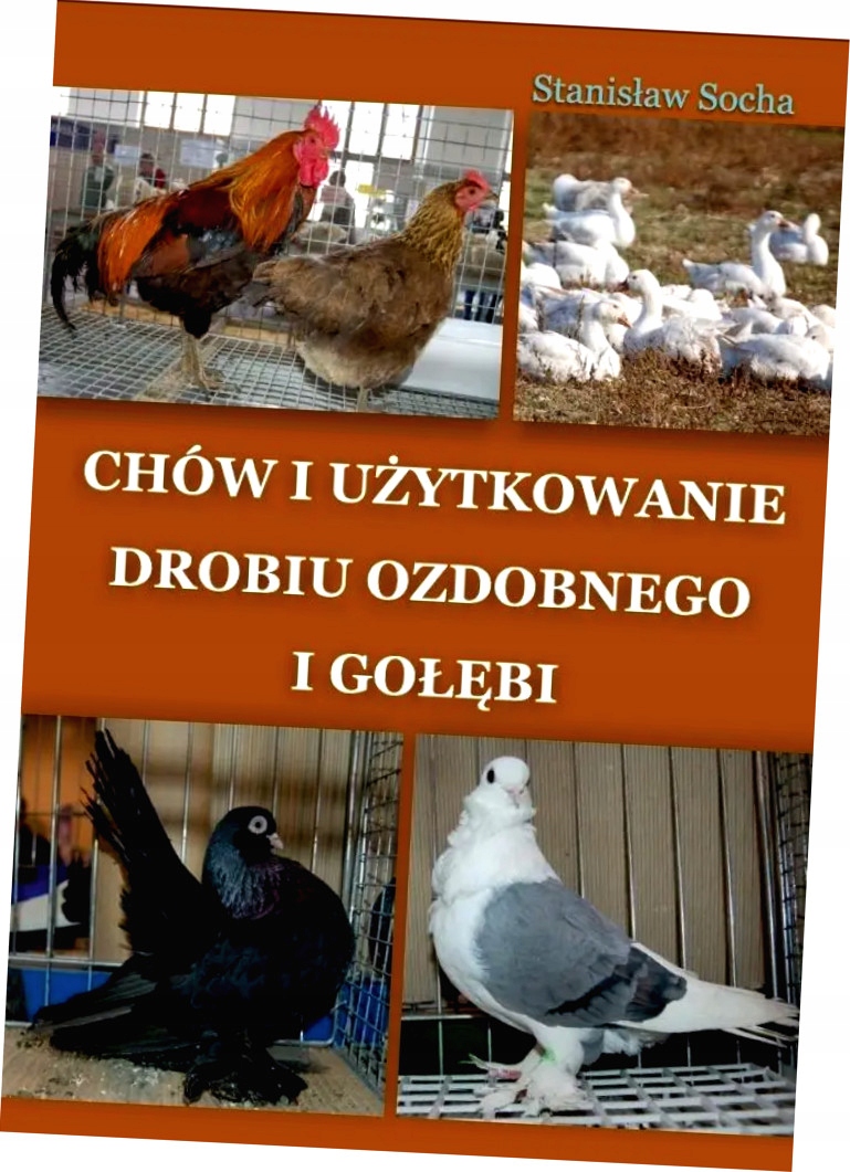 Chów i użytkowanie drobiu ozdobnego i gołębi – Kompletny przewodnik