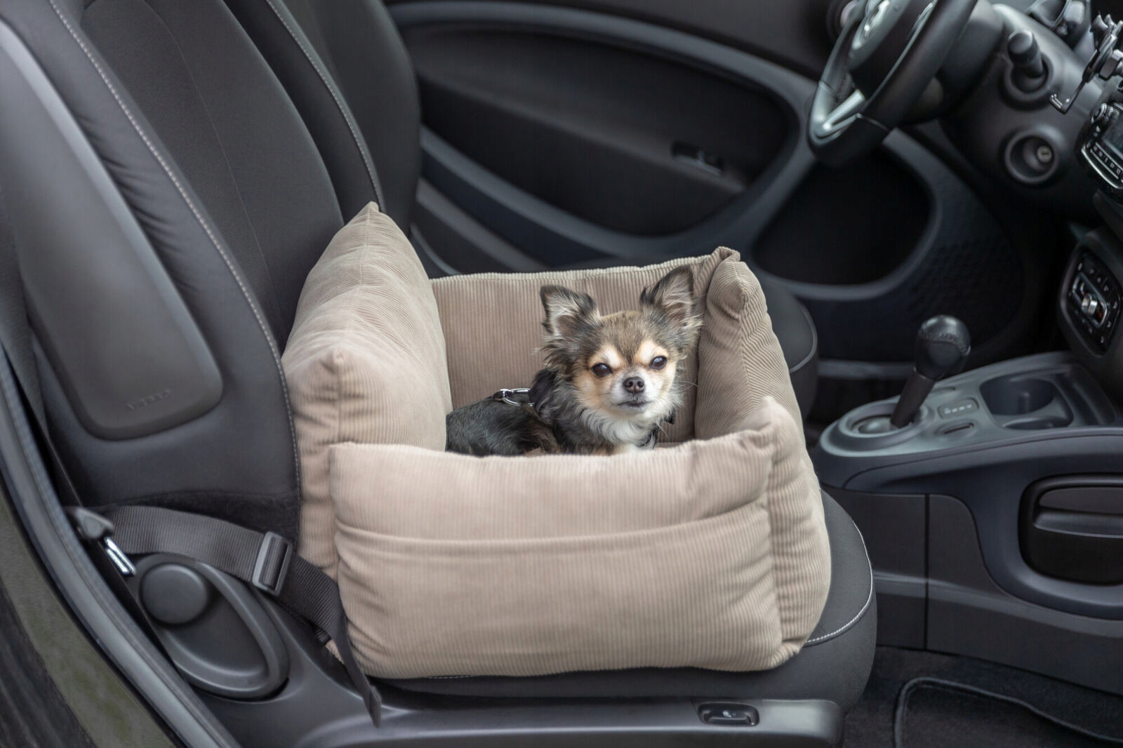 Wymiary i maksymalna waga – Idealny dla małych psów do 8 kg