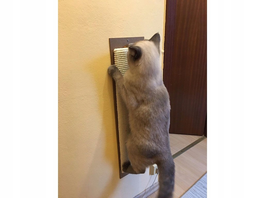 Łatwy montaż – Prosta instalacja na ścianie