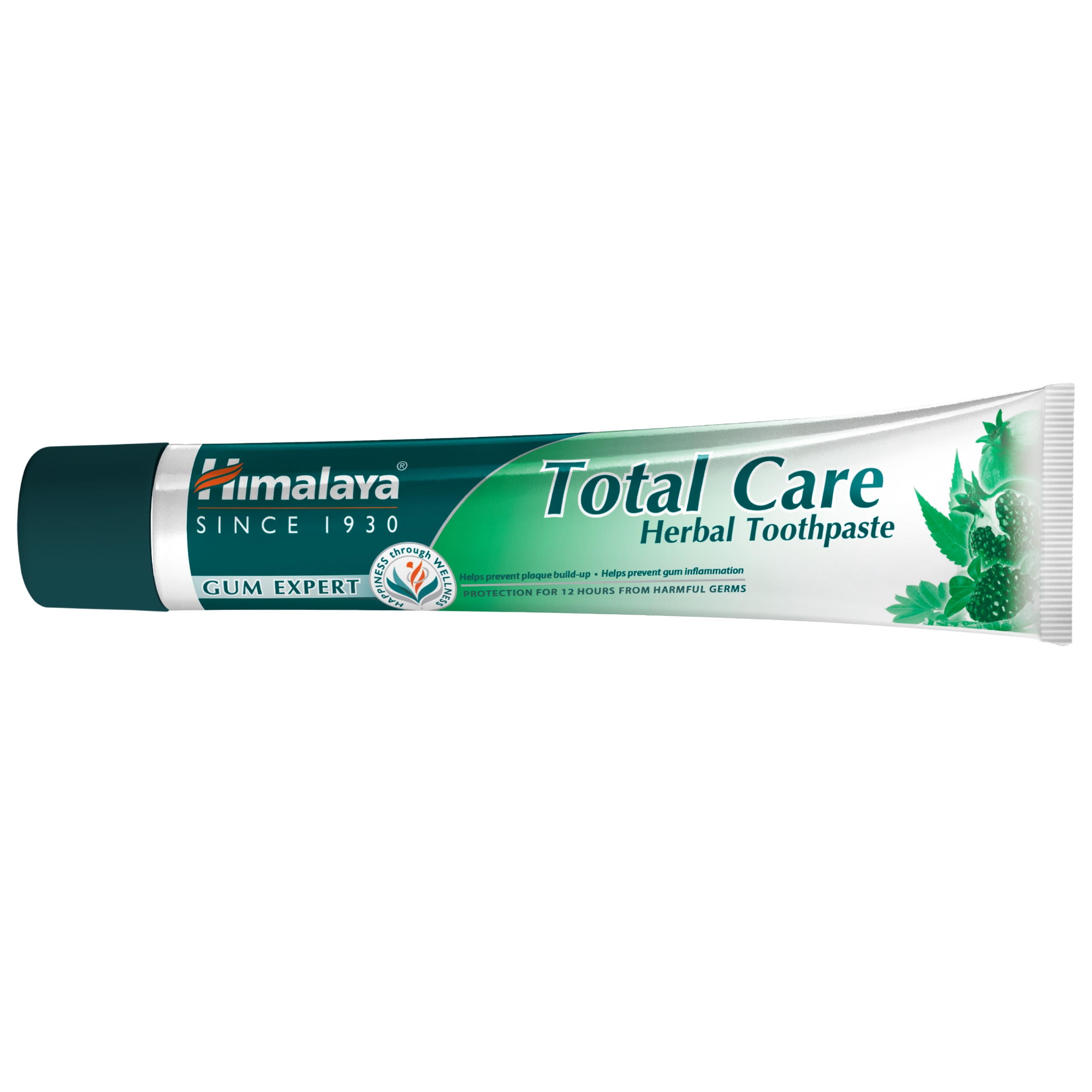 Ziołowa formuła z Miswak – Skuteczna walka z bakteriami