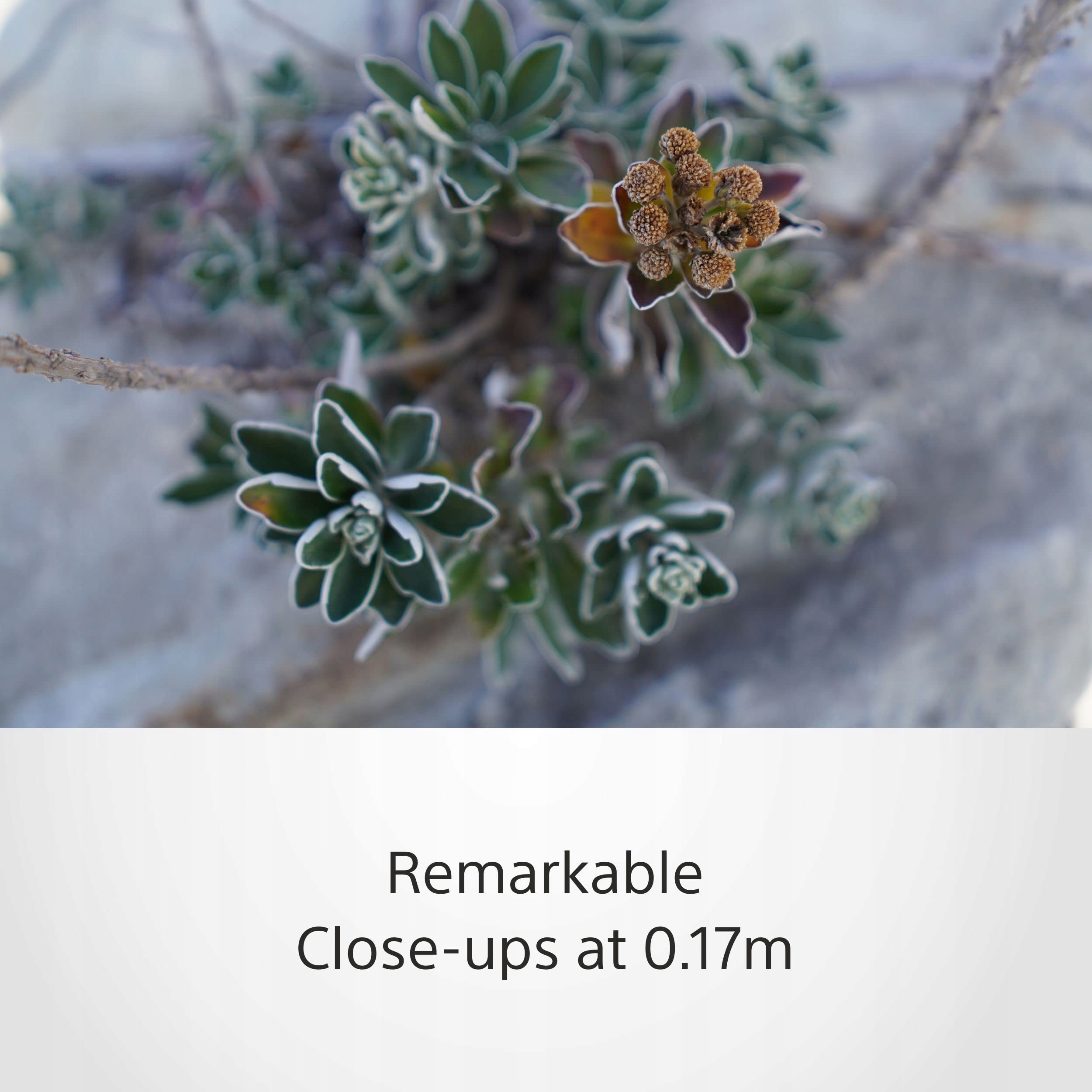 Jasność i wszechstronność w każdych warunkach oświetleniowych