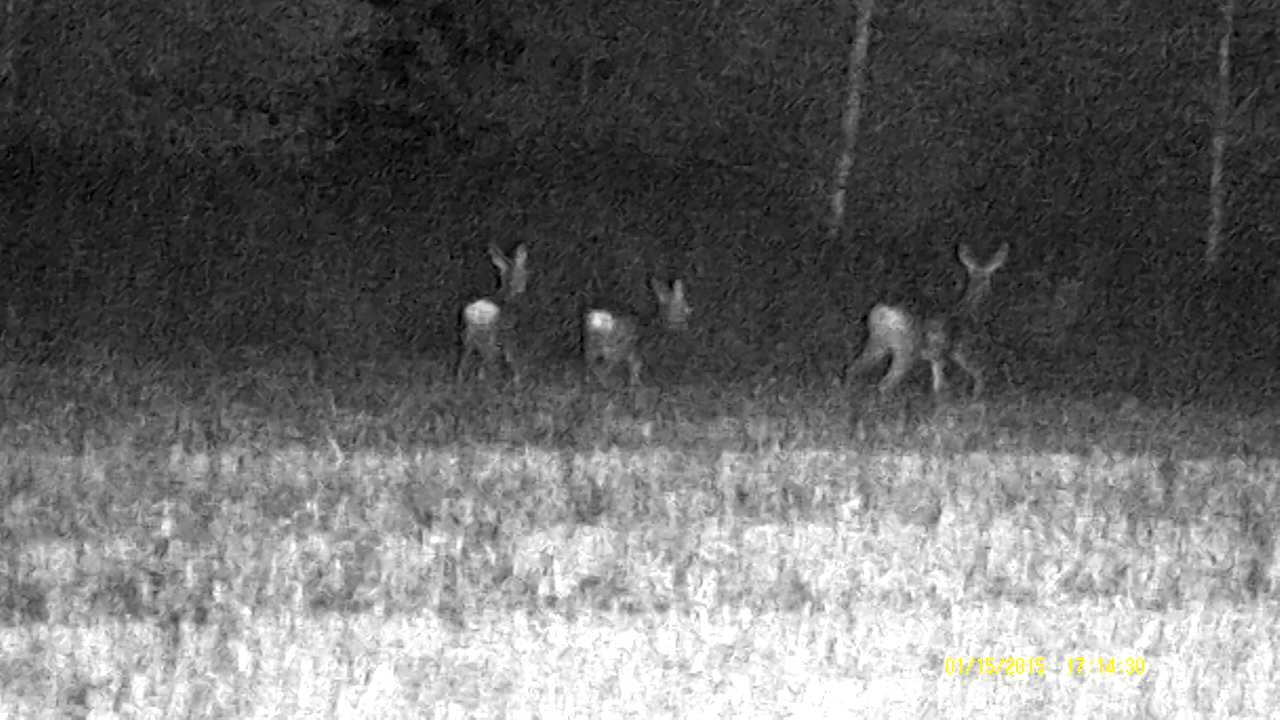 Wysokiej jakości optyka i powiększenie 30x