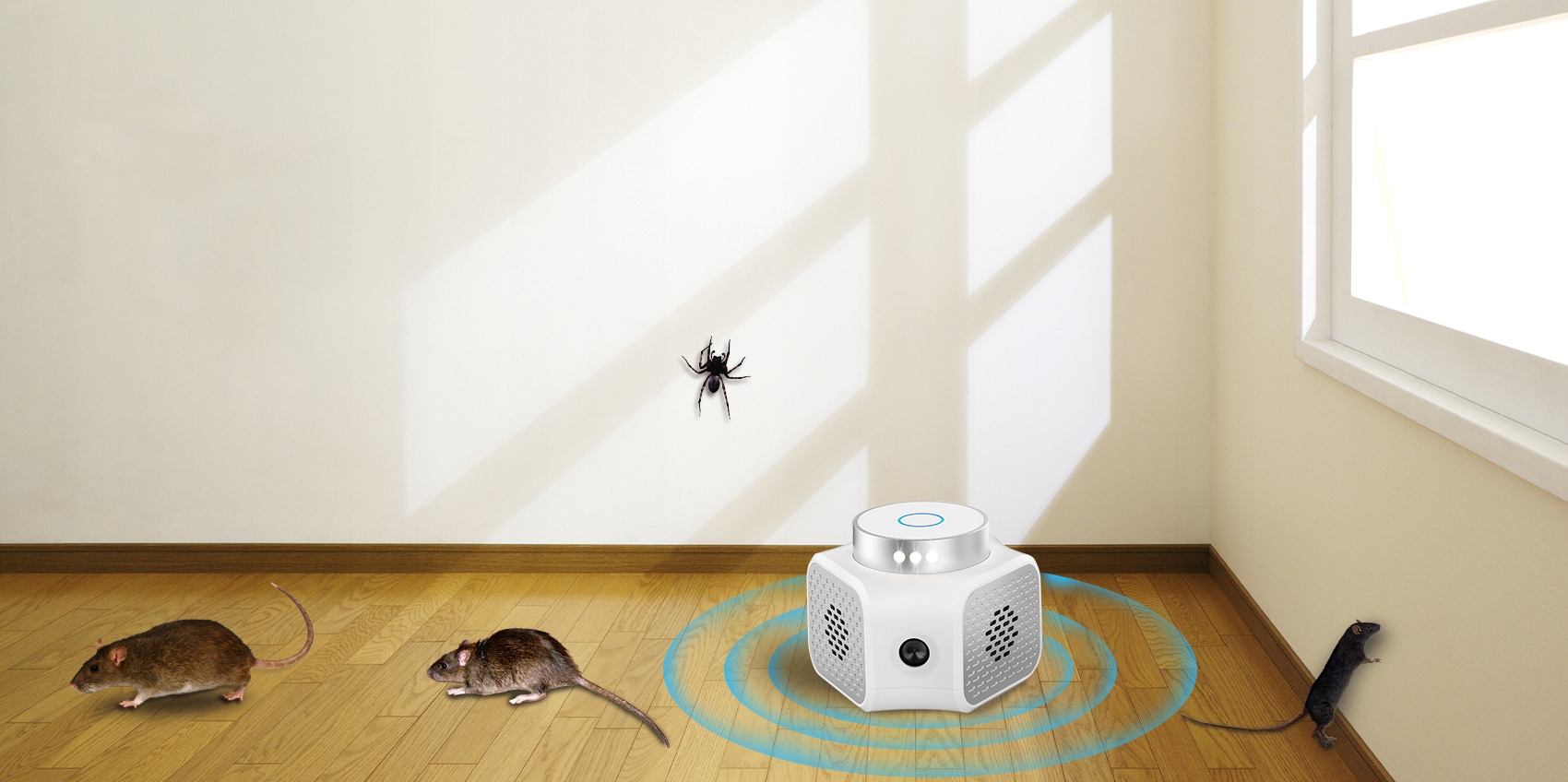 Kompaktowe wymiary i różne tryby pracy – Wygoda użytkowania