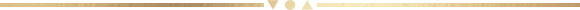 Zipro