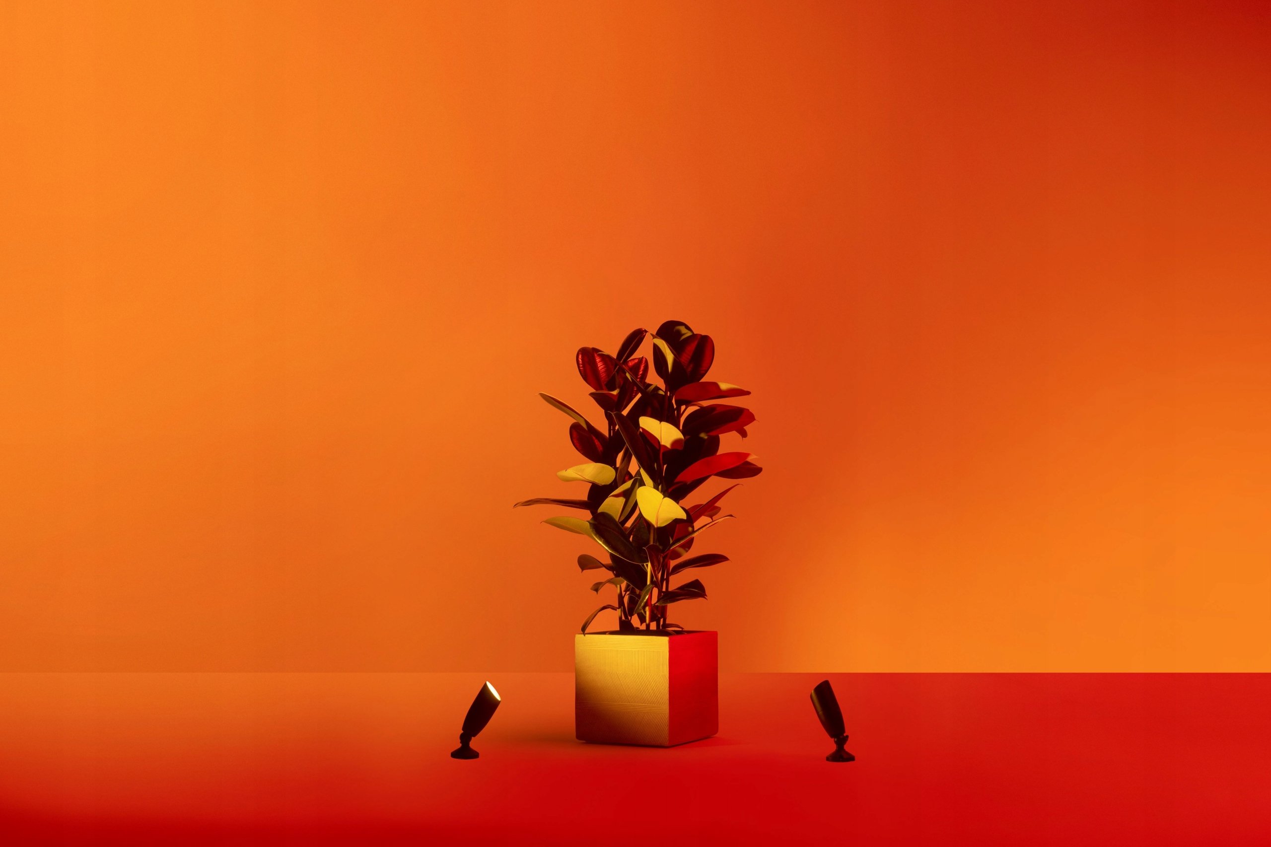 Wodoodporność i odporność na warunki atmosferyczne – Gwarancja trwałości