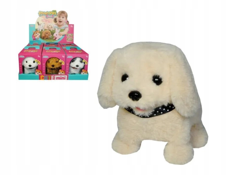 Kolorowy design i atrakcyjny wygląd