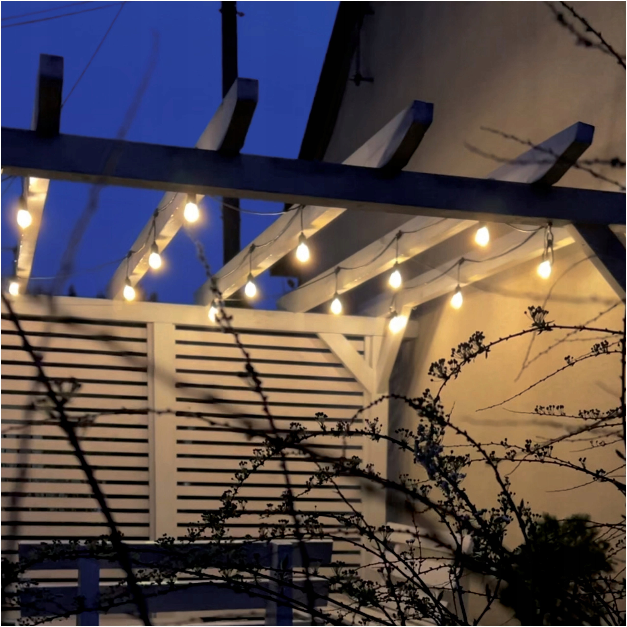 Główne cechy żarówki LEDLUMEN