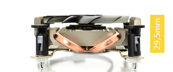 spc-infantis-LP812-body-1