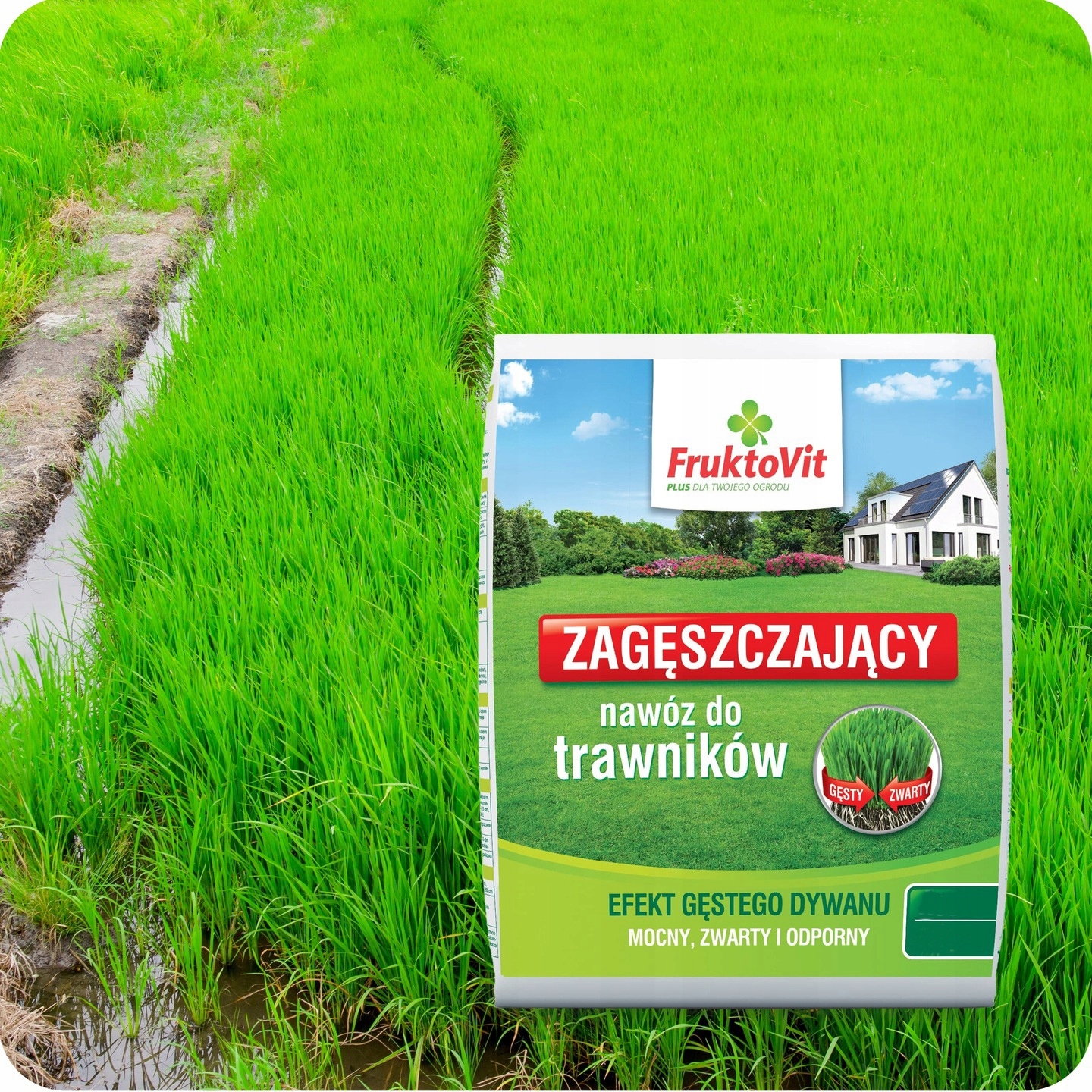 Skład nawozu – Optymalne proporcje azotu, fosforu i potasu