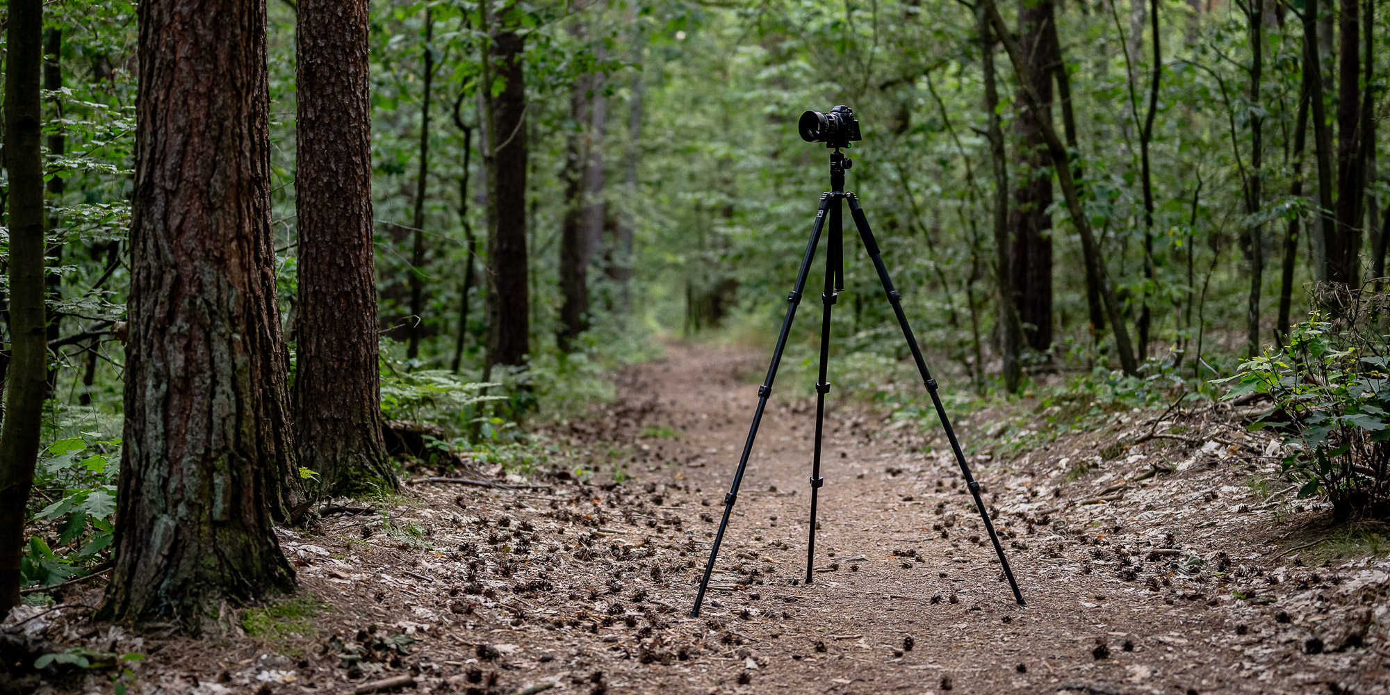 Statyw Fotopro F5 z głowicą kulową FPH-52Q