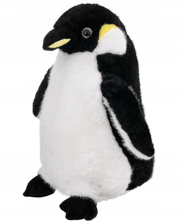 Kolor i wymiary maskotki