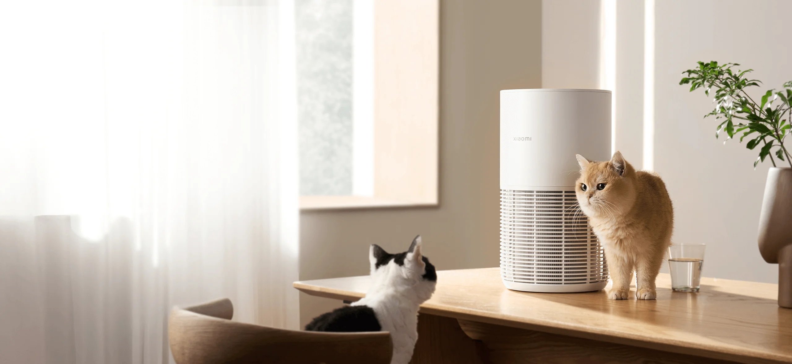 Oczyszczacz Powietrza Xiaomi Smart Pet Care Air Purifier – Czyste powietrze dla Ciebie i Twojego pupila