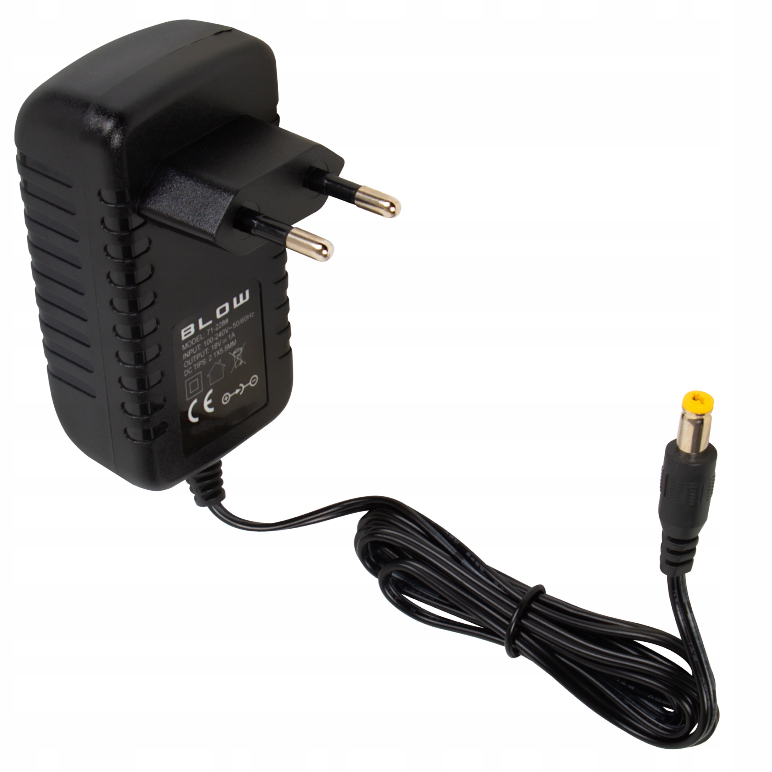 Wtyk i Polaryzacja – Kluczowe Informacje