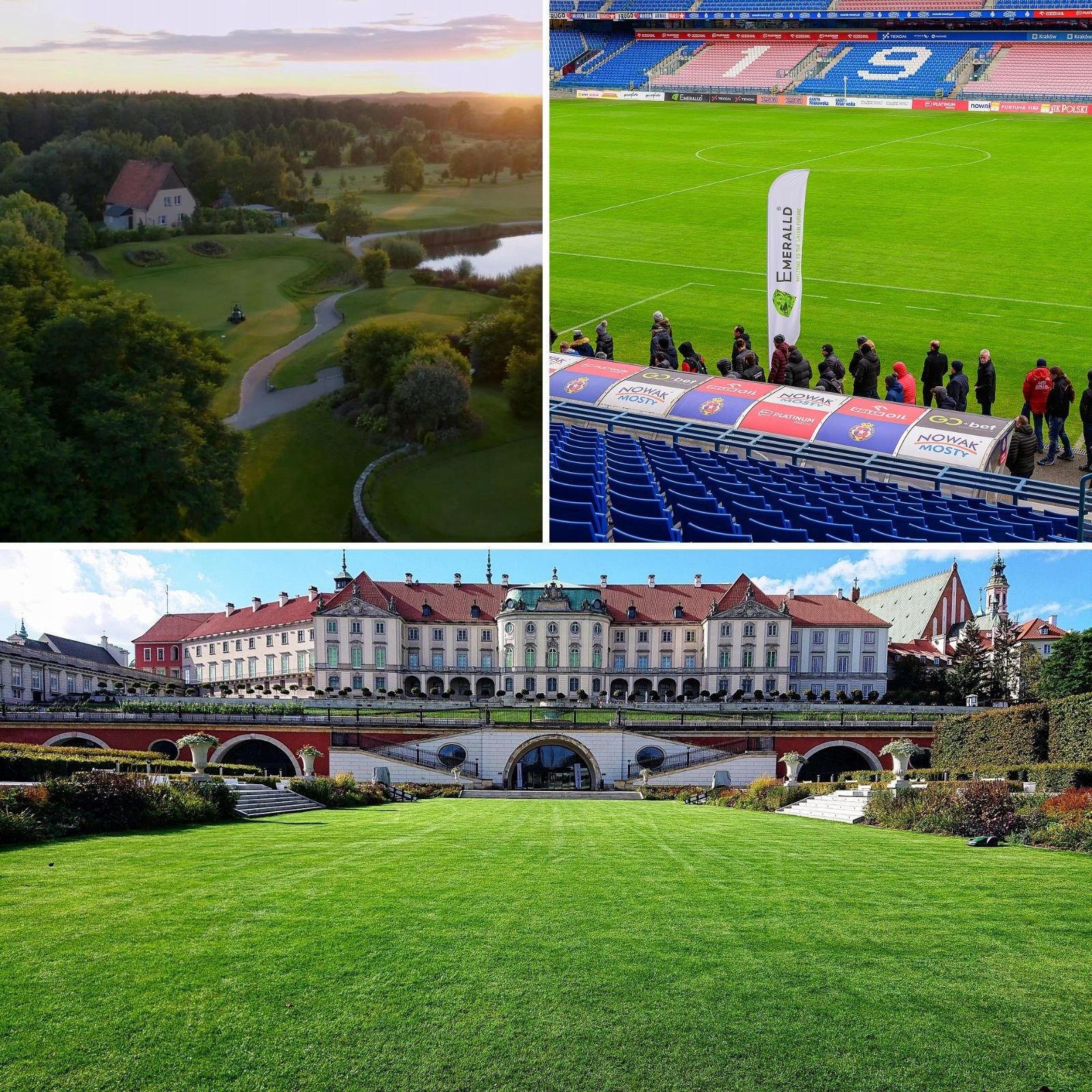 Profesjonalne zastosowanie trawy Emeralld – zaufaj sprawdzonym rozwiązaniom