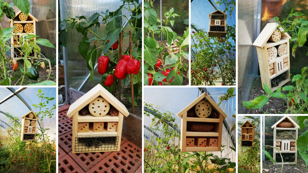 Wygodne miejsce dla pszczół i biedronek