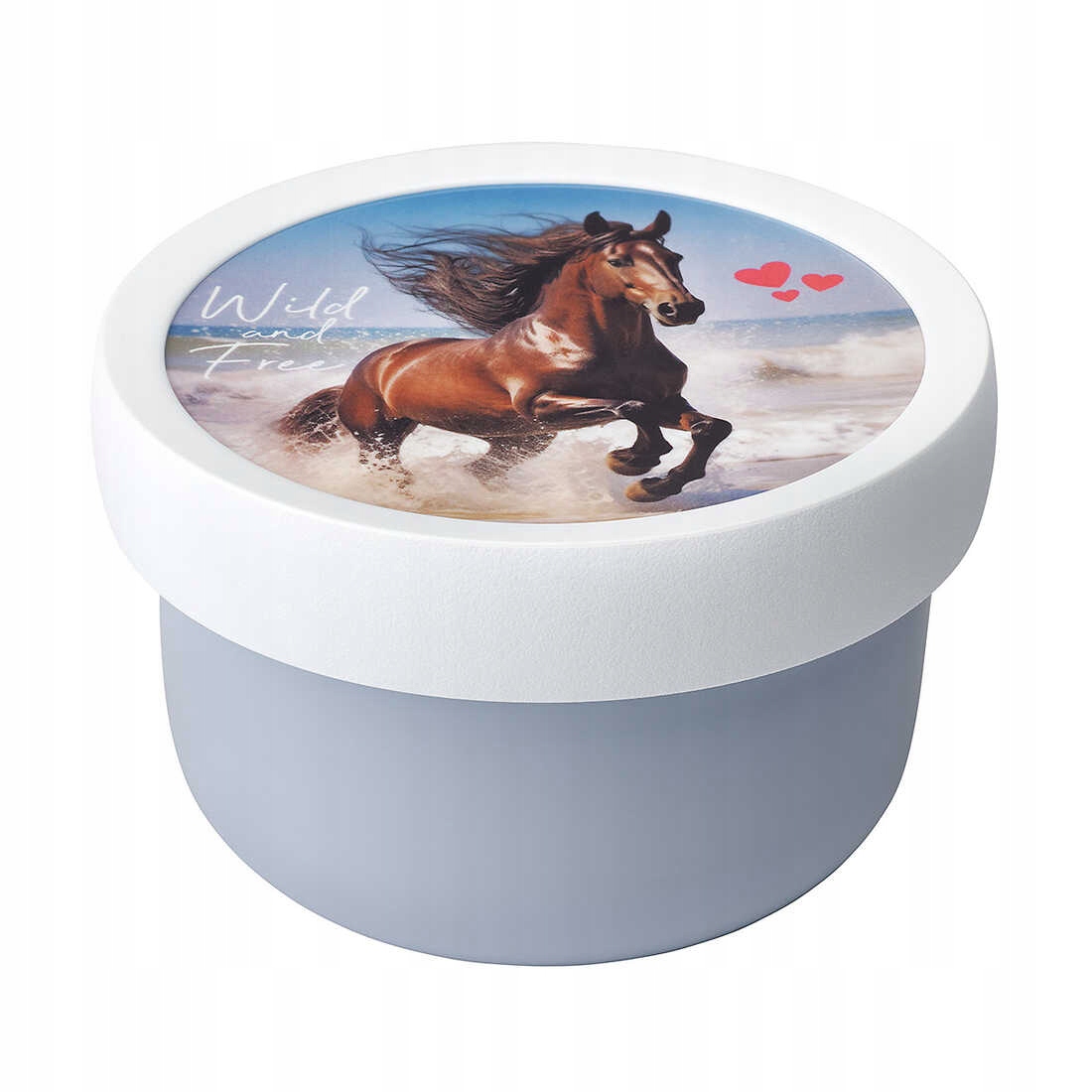 Pudełko na owoce FRUIT BOX CAMPUS 300 ML WILD HORSE Mepal – Idealne dla dzieci