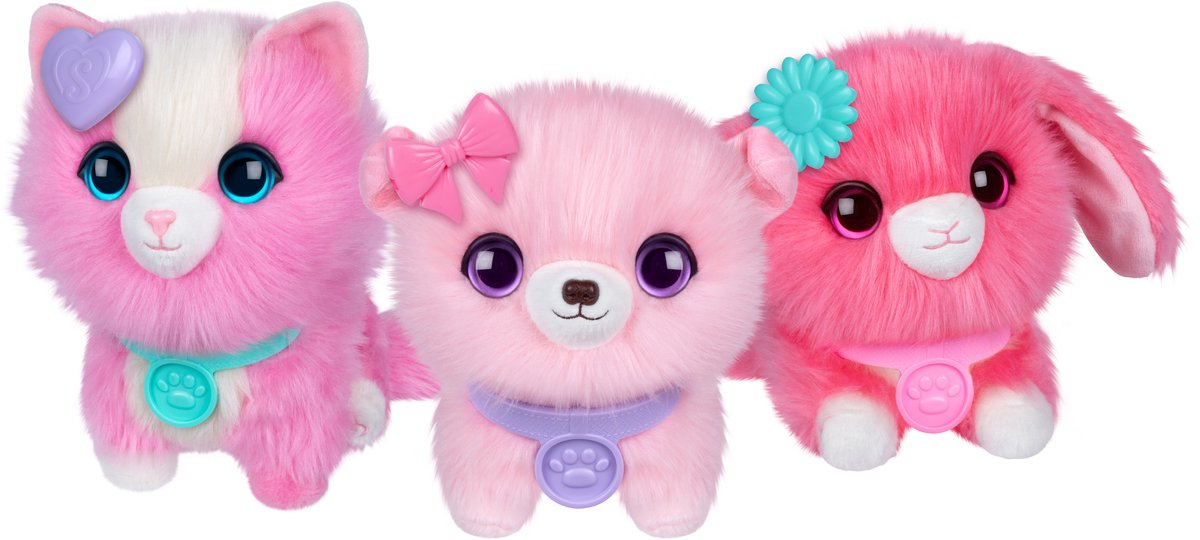 Personalizacja i certyfikat adopcji dla Twojego pupila